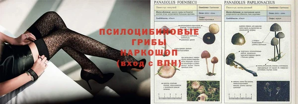 a pvp Бугульма
