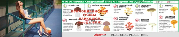 apvp Беломорск