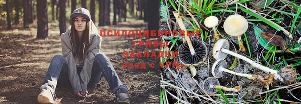 apvp Беломорск